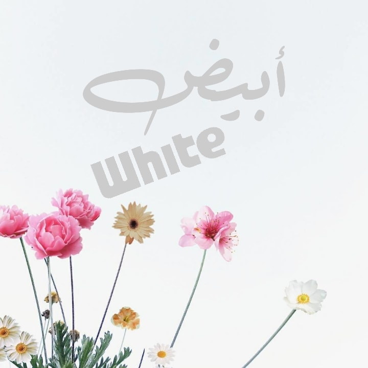 ابيض - White