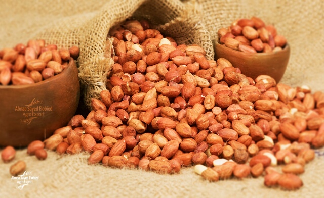 قناة تسوئق المنتجات الزراعية السودانية