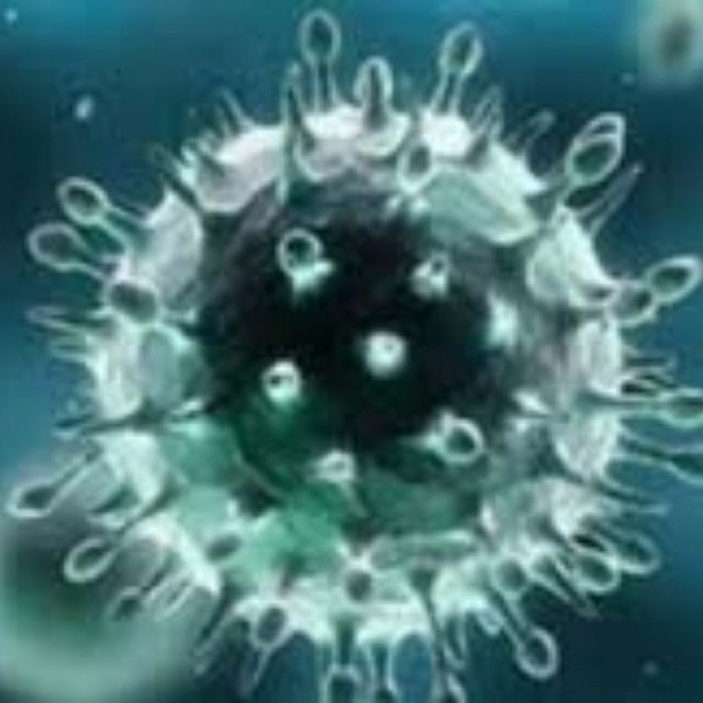 مستجدات فيروس كورونا
